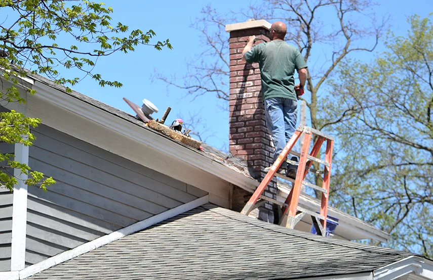 Chimney & Fireplace Inspections Services in The Colony, TX